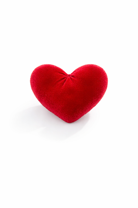 Velvet Heart Brooch gift